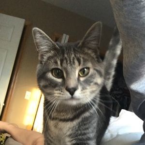 Meet your Posher, Lezi